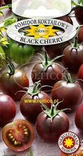 Pomidor Black Cherry G Koktajlowy Balkonowy Czerwony Inkrustowane