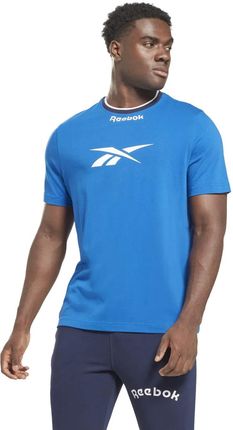 Męska Koszulka z krótkim rękawem Reebok RI Arch Logo Vector Tee Hs9429 – Niebieski