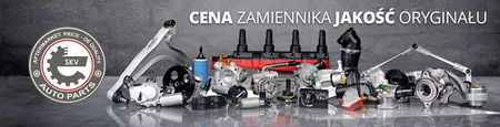 Esen Skv Piasta Koła Z Łożyskiem Przód Fiat Panda Lancia 29Skv455