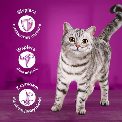 Whiskas для котів зі смаком птиці в желе 80x85 г - фото 4