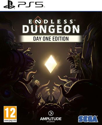 Endless Dungeon Day One Edition (Gra PS5)