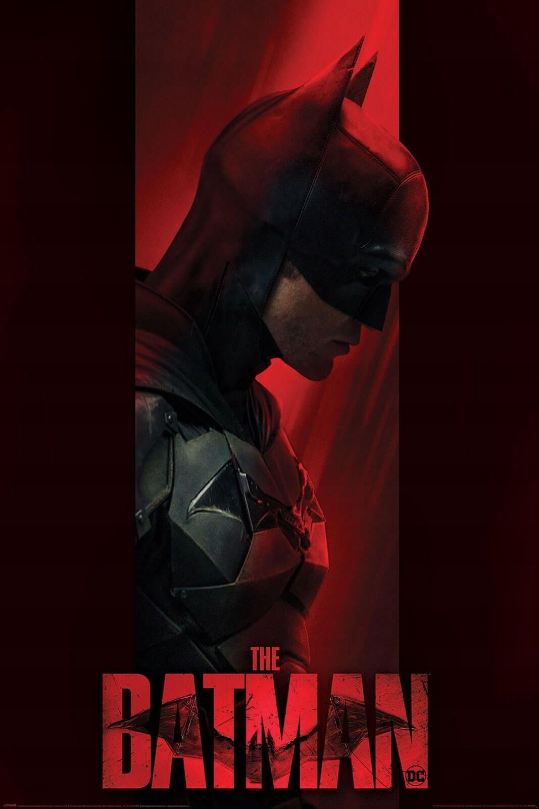 Pyramid International Plakat Filmowy Batman Out Of The Shadows 61X91,5 ...