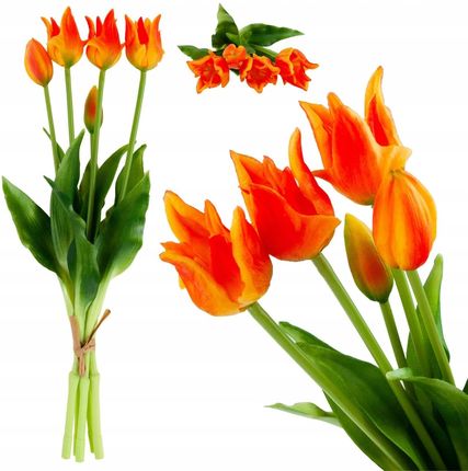 Martom Tulipany Tulipan Papuzie Bukiet Gumowane Jak Żywe