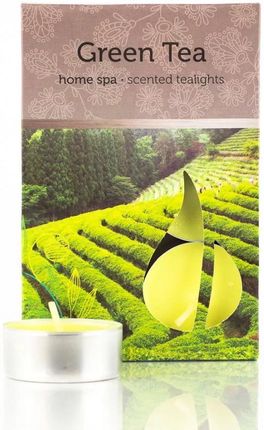 Świeczki Zapachowe Podgrzewacze Tealight Zielona Herbata