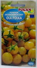 Zdjęcie Pomidor gruntowy Ola Polka 0,2g koktajlowy - Piastów