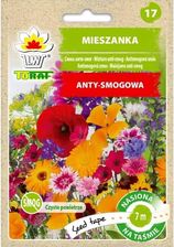 Zdjęcie Mieszanka nasion Antysmogowa Nasiona na taśmie 7m - Siechnice