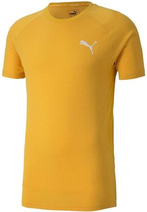 Koszulka męska Puma Evostripe Lite Tee żółta 581534 25