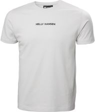 Męska Koszulka z krótkim rękawem Helly Hansen Core Graphic T 53936_823 – Szary