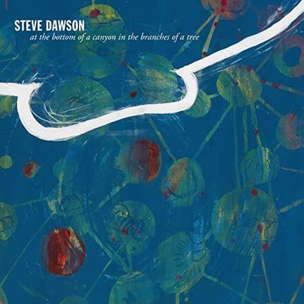 Steve Dawson: at Bottom A Canyon in The Branches of Tree [Winyl]