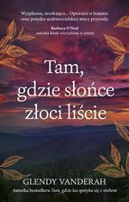 Zdjęcie Tam, gdzie słońce złoci liście - Andrychów