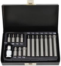 Awtools Zestaw Bitów Torx Z Otworem T20-T55 15El. AW35117BL