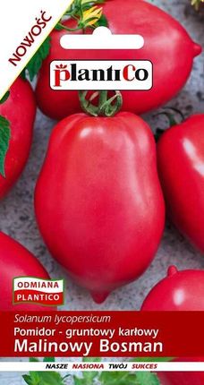 Pomidor Malinowy Bosman 10G