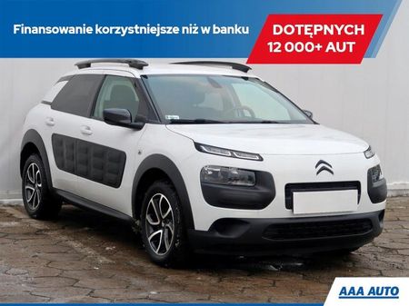 efeutute hängende blätter Epipremnum pinnatum 