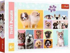 Zdjęcie Trefl Puzzle 160el. Psia Przyjaźń 15412 - Czechowice-Dziedzice