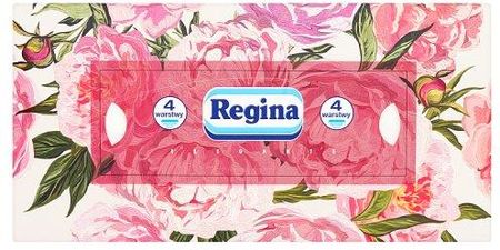 Regina Delicatis Premium Box Chusteczki 120Szt