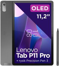 Ranking Lenovo Tab P11 Pro G2 11,2" 8/256GB Wi-Fi Szary (ZAB50400PL) Najlepsze czytniki ebook