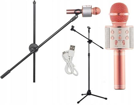 Massa Mikrofon Karaoke 858 Z Głośnikiem Bt Róż + Statyw (St11+Mikrofon)