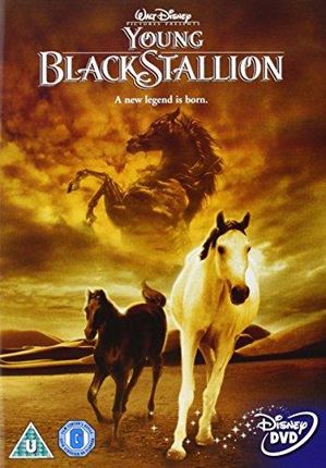 The Young Black Stallion (DVD)