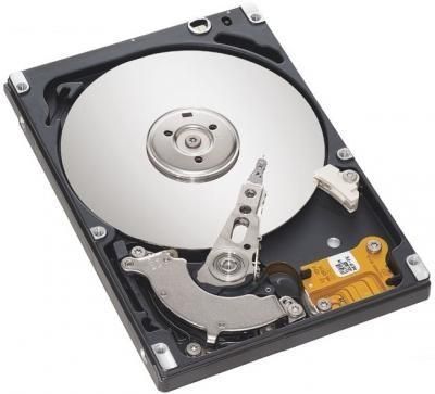 Seagate 500GB (ST9500325AS)