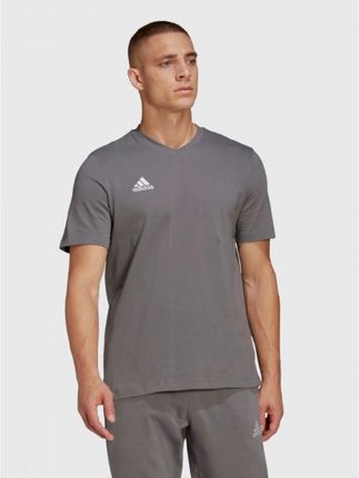 Koszulka Męska Adidas T-shirt Bawełniany Popielaty