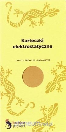 Ateneum Karteczki Elektrostatyczne 50Szt. Pomarańczowe