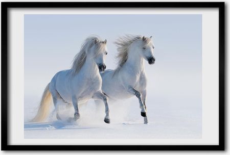 Ścienny obraz ramka Mdf Dwa konie w śniegu 60x40