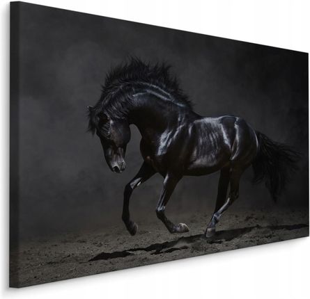 Obraz Do Przedpokoju Czarny Koń w Galopie 120x80