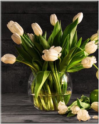 Kremowe Tulipany Kwiaty 40x50 obraz do kuchni
