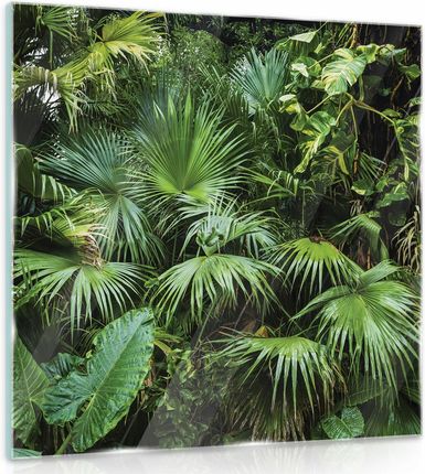 Obraz Na Szkle Szklany Do Łazienki Dżungla 30x30