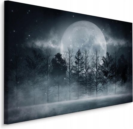 Obraz na Płótnie Księżyc Las Mgła Natura 3D 120x80