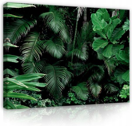 Obraz Na Płótnie Zielone Liście Dżungla 100x70
