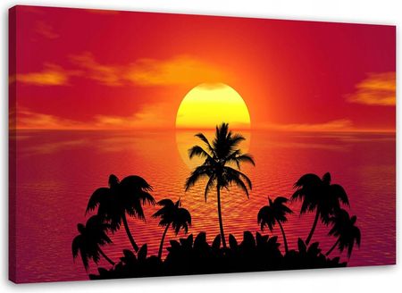 Obraz Na Ścianę Zachód słońca i palmy 100x70