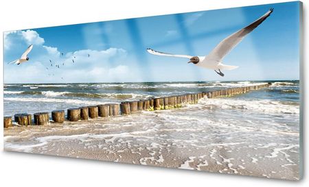 Obraz na Szkle Mewy Morze Krajobraz Szklany 125x50