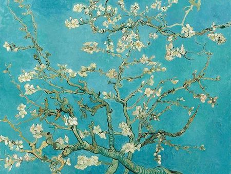 Reprodukcja obrazu Almond Blossom Gogh 80x60