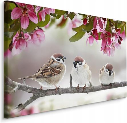 Obraz do salonu ptaki wróble gałąź natura 120x80