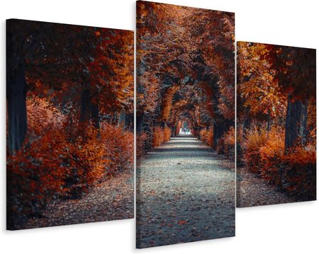 Obraz 3 Częściowy Park Drzewa Liście 3D 60x40