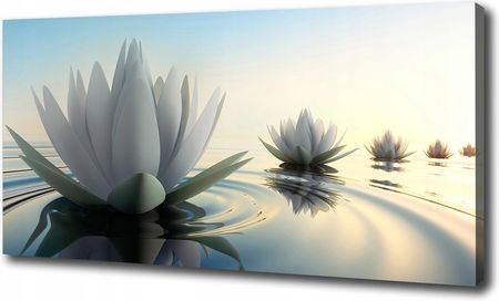 Duży foto obraz na płótnie Kwiat lotosu 100x50 cm