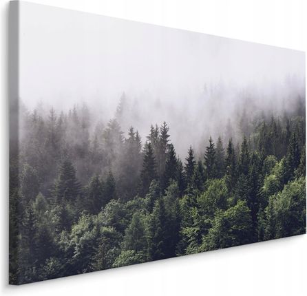 Obraz Ścienny Las We Mgle Drzewa Pejzaż 3D 120x80