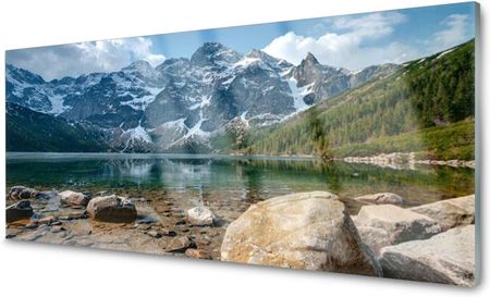 Obraz na Szkle Góry Las Jezioro Tatry Foto 125x50