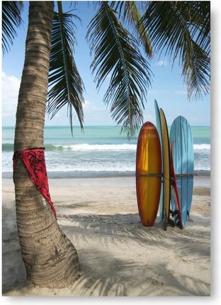 Plaża Palma Surfing plakat obraz B1 100x70cm #118