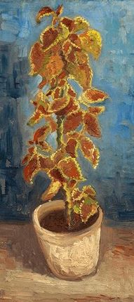 Obraz Flame Nettle in a Flowerpot Gogh 90x40