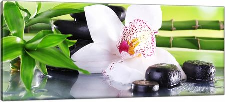 Obraz na płótnie Tryptyk Kwiaty Spa 100x40