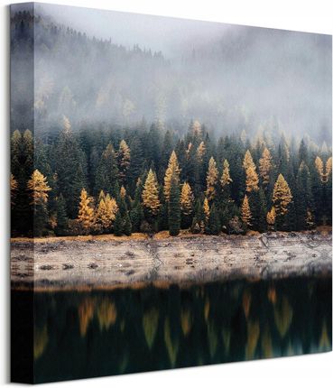 Obraz na płótnie Jesienne drzewa we mgle 40x40 cm