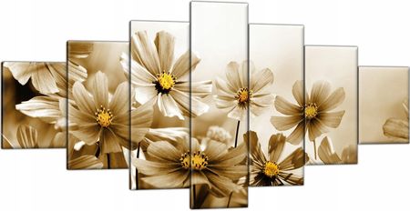 Obraz na płótnie Kwiaty Łąka Sepia 210x100 Tryptyk