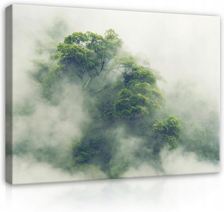 Obraz Na Płótnie Las We Mgle Natura Dżungla 100x70