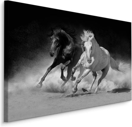 Obraz do salonu czarno biały konie galop 70x50