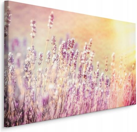 Obraz lawenda kwiaty słońce natura płótno 120x80