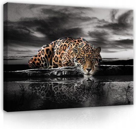 Obraz Na Płótnie Tygrys Jaguar Gepard Duży 120x80