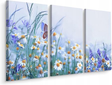 Obraz Tryptyk Polne Kwiaty Motyl Pejzaż 3D 120x80