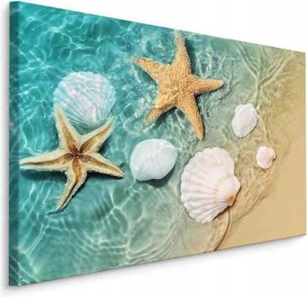 Obraz do jadalni muszle rozgwiazdy plaża 70x50
